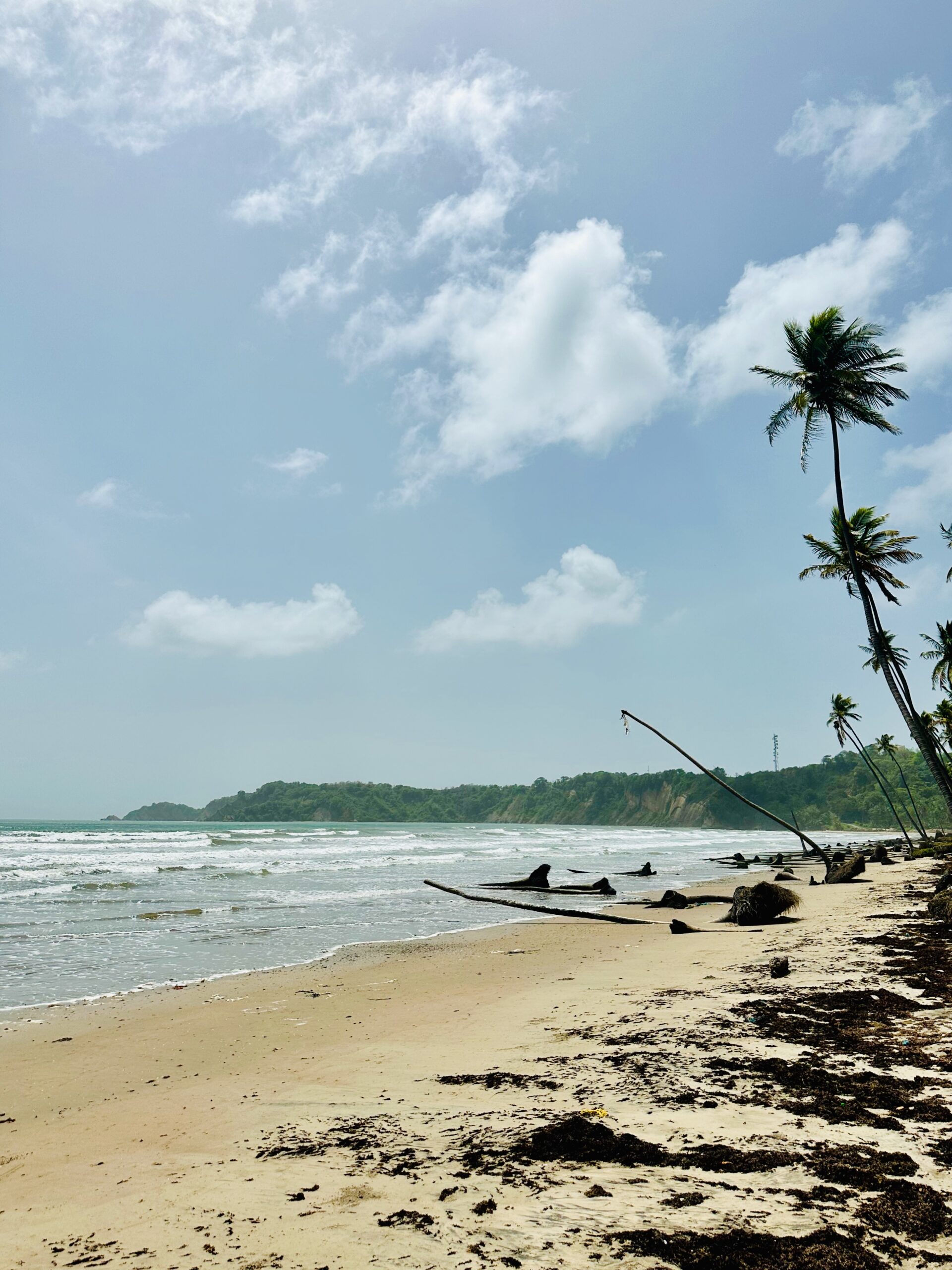 Manzanilla Trinidad A Secluded Beach Paradise Waiting To Be manzanilla-trinidad-a-secluded-beach-paradise-waiting-to-be