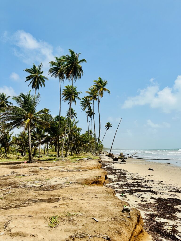 manzanilla-trinidad-a-secluded-beach-paradise-waiting-to-be